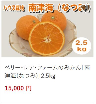 ベリーレアファーム南津海15,000円