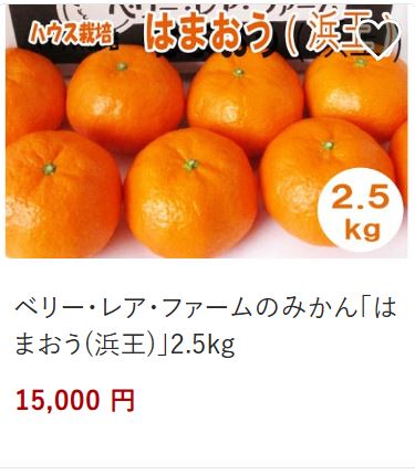 ベリーレアホームのみかんはまおう15,000円